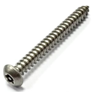 Security Self Tapping Screws