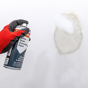 Adhesives & Building Chemicals