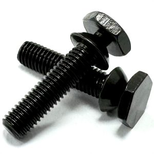 BLACK Stainless Steel - Shear Bolts