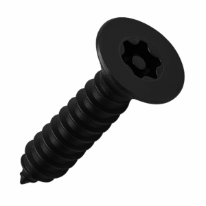 Security Self-Tappers - Pin Torx Countersunk BLACK Staniless Steel A2