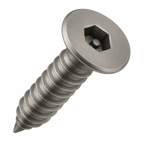 Security Self-Tappers - Pin Hex Countersunk