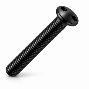 2-Hole-Security Machine Screws - Snake Eye Raised Countersunk BLACK Stainless Steel A2
