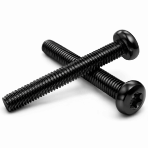 M2 Torx Pan Head Machine Screws Black Passivated