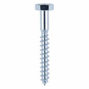 Coach Screws - Steel